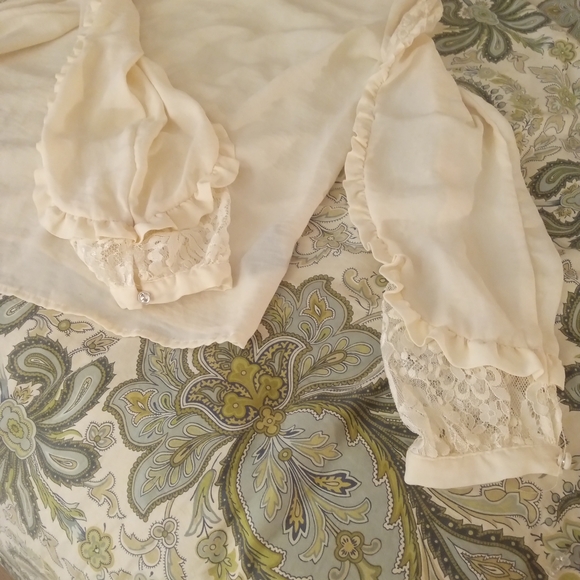 Who What Wear Ivory Blouse with Lace Sleeves - Picture 10 of 10